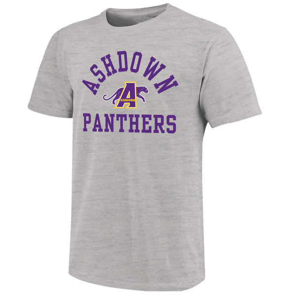 Ashdown Panthers Simple Arch Unisex Cotton T-Shirt