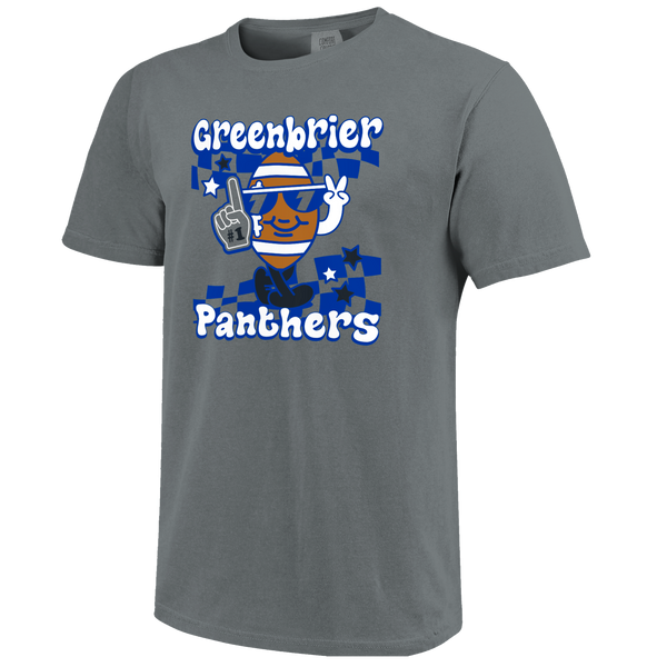 Greenbrier Panthers Football Vibes Comfort Color T-Shirt