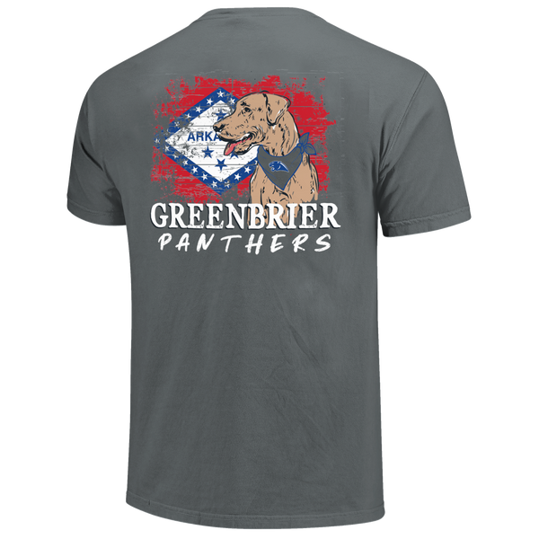 Greenbrier Panthers School Dog and State Flag Comfort Color T-Shirt