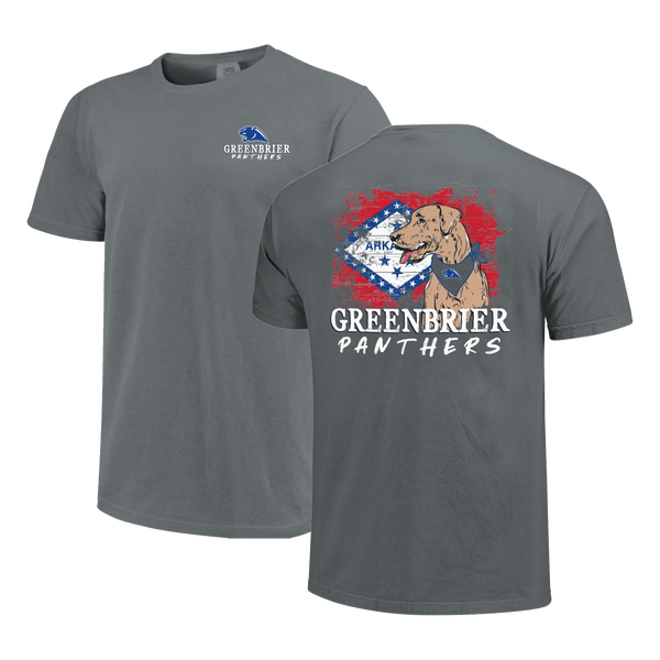 Greenbrier Panthers School Dog and State Flag Comfort Color T-Shirt