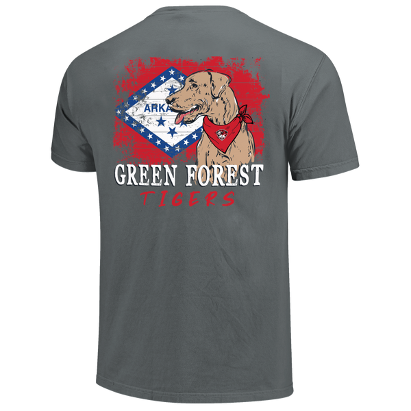 Green Forest Tigers School Dog and State Flag Comfort Color T-Shirt