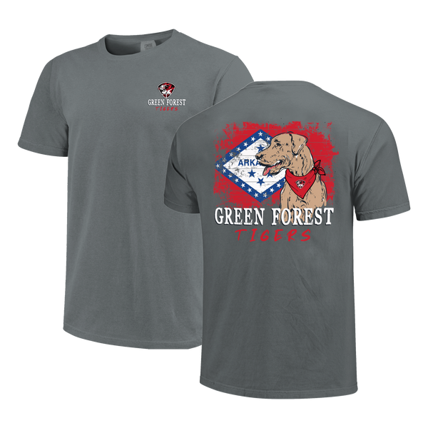 Green Forest Tigers School Dog and State Flag Comfort Color T-Shirt