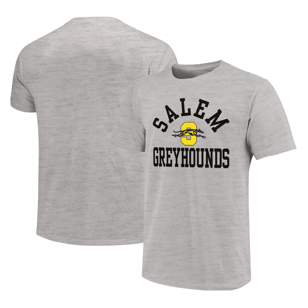 Salem Greyhounds Simple Arch Unisex Cotton T-Shirt