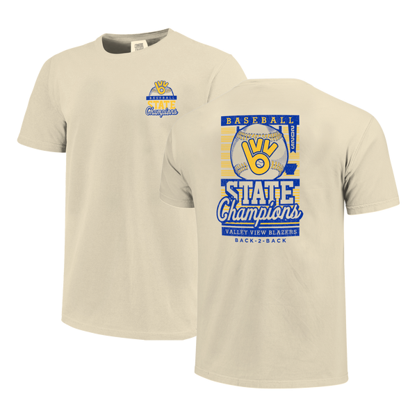 Valley View Blazers 2025 Baseball Pinstripe State Champs Short Sleeve Comfort Color T-Shirt